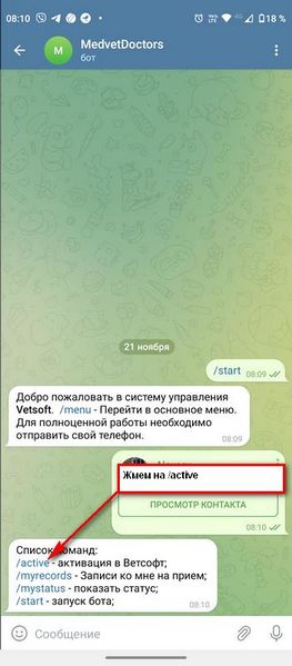 Файл:Im telegbot 004.jpg